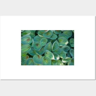 Hosta 'Dinky Donna' oil painting effect. Posters and Art